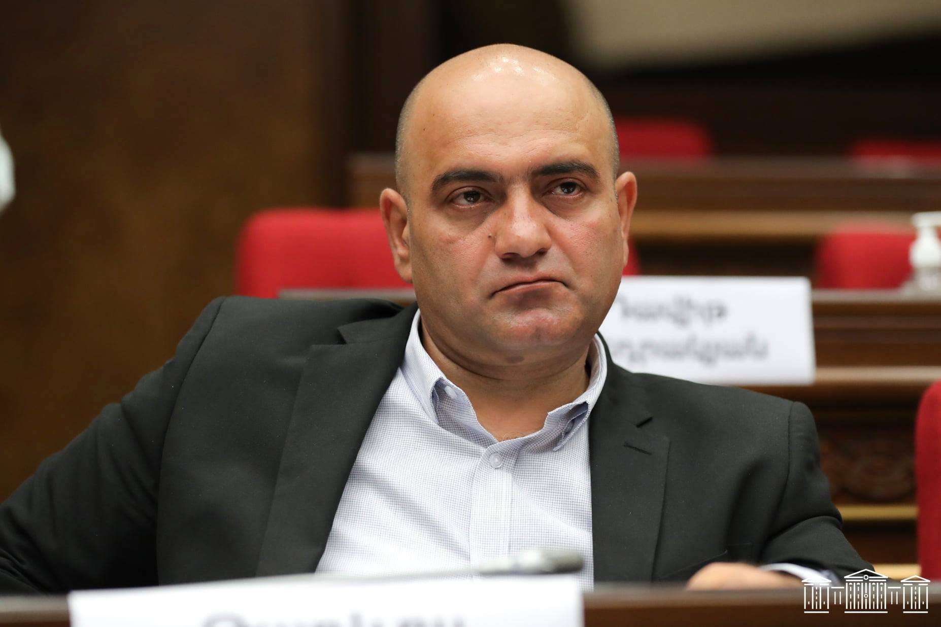 «ԱԺ-ից կացին են ուզել, ԱԺ-ն էլ տվել է». Թադևոս Ավետիսյան (ՏԵՍԱՆՅՈՒԹ)