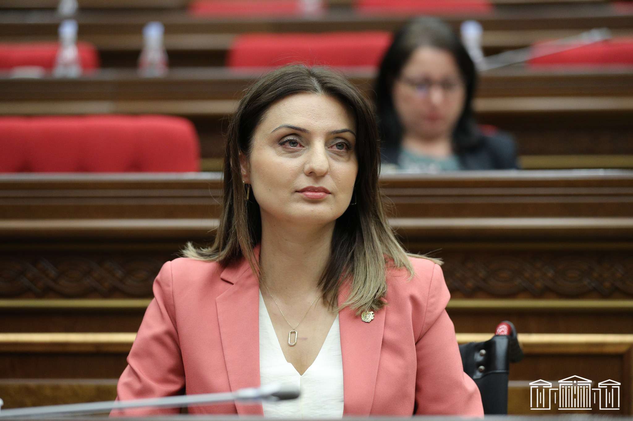 «Ընտանեկան բռնության դեպքում սահմանվել են ավելի բարձր տուգանքներ». Բաթոյան
