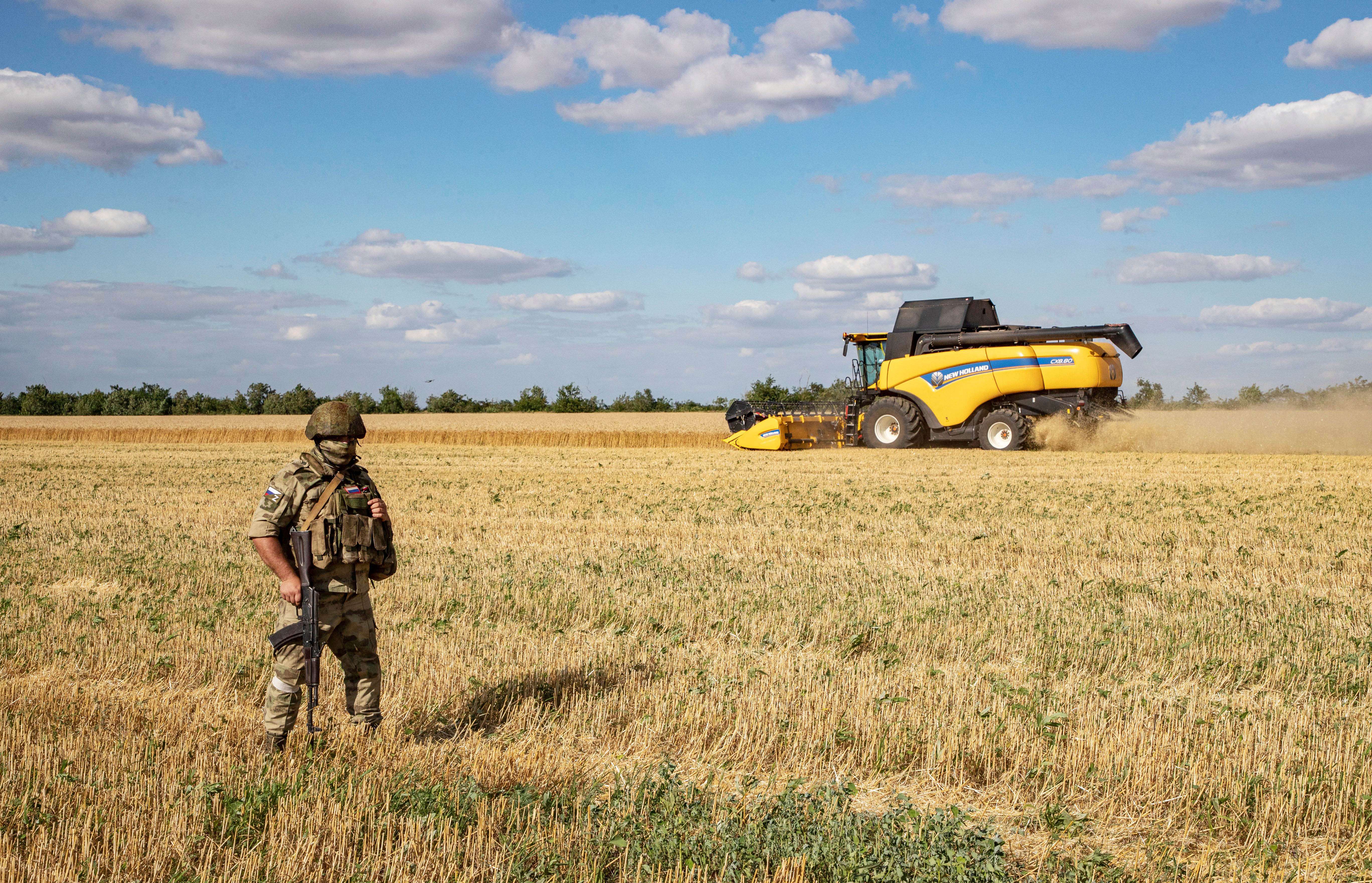 Slovakia has banned the processing and sale of Ukrainian grain
