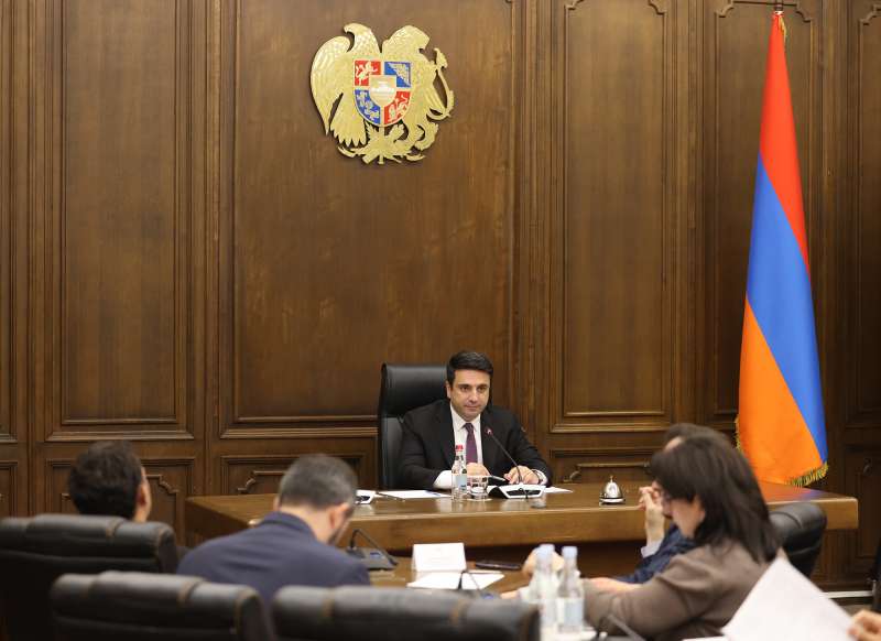 ԱԺ վաղվա նստաշրջանում ընդգրկվել է 21 հարց