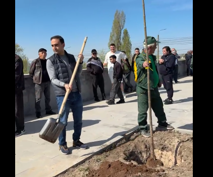 Ծառատունկ՝ Երևանում