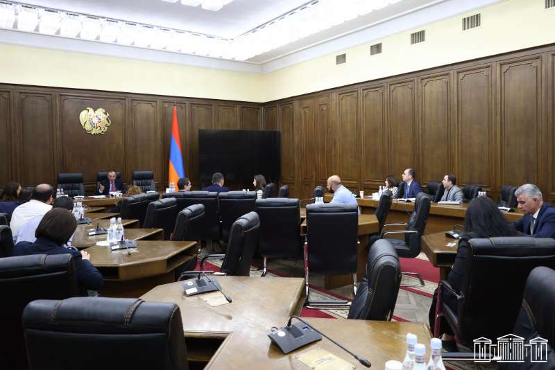 Քննարկվել են Հայաստանում բժշկական արտադրատեսակների մաքսազերծման հարցեր
