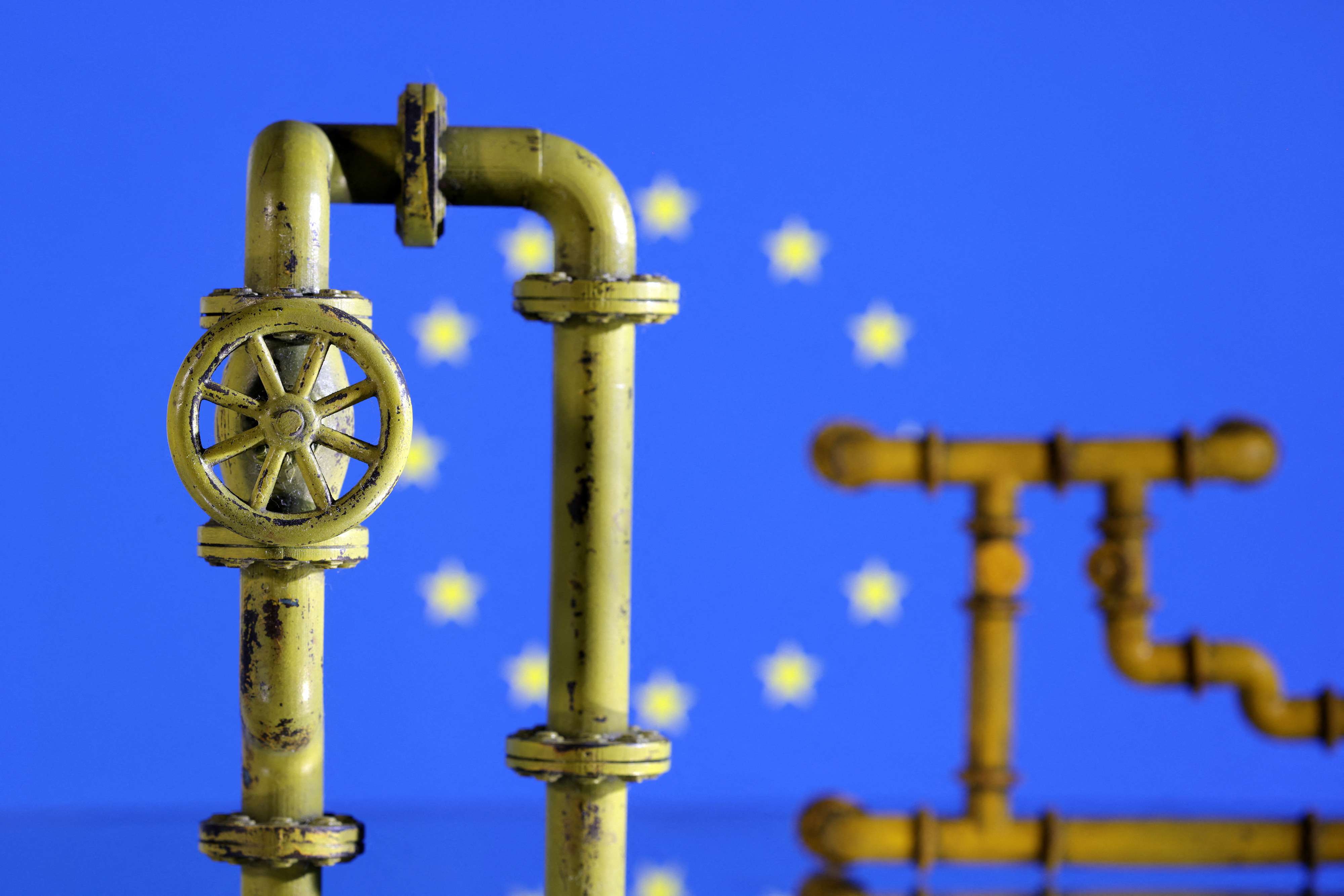 The European Union has started a joint gas procurement process
