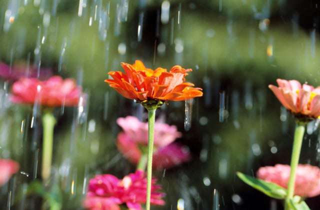 Short rain and thunder are expected, air temperature will rise