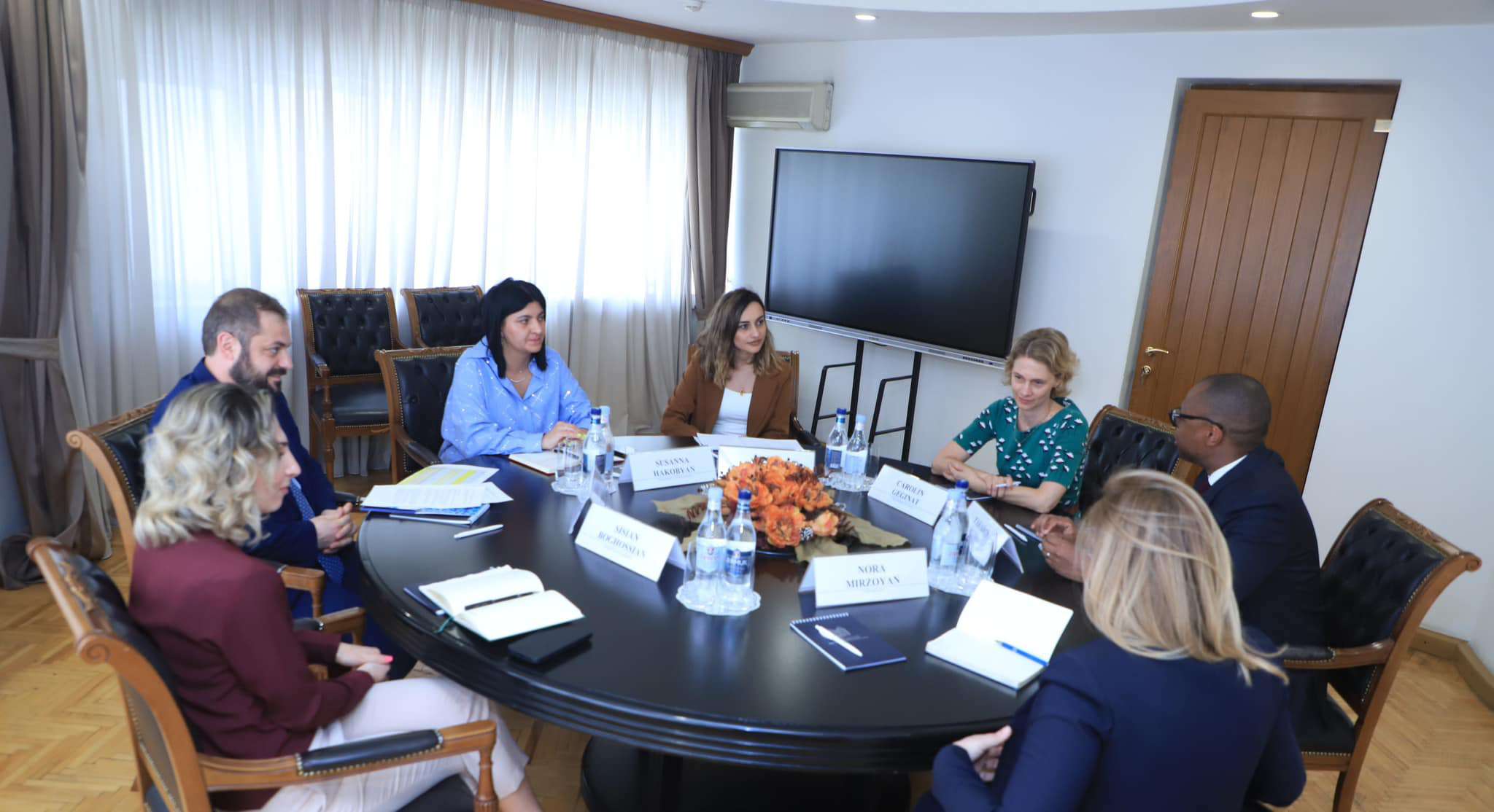 Պապոյանն ընդունել է ՀԲ-ի հայաստանյան գրասենյակի ղեկավարին