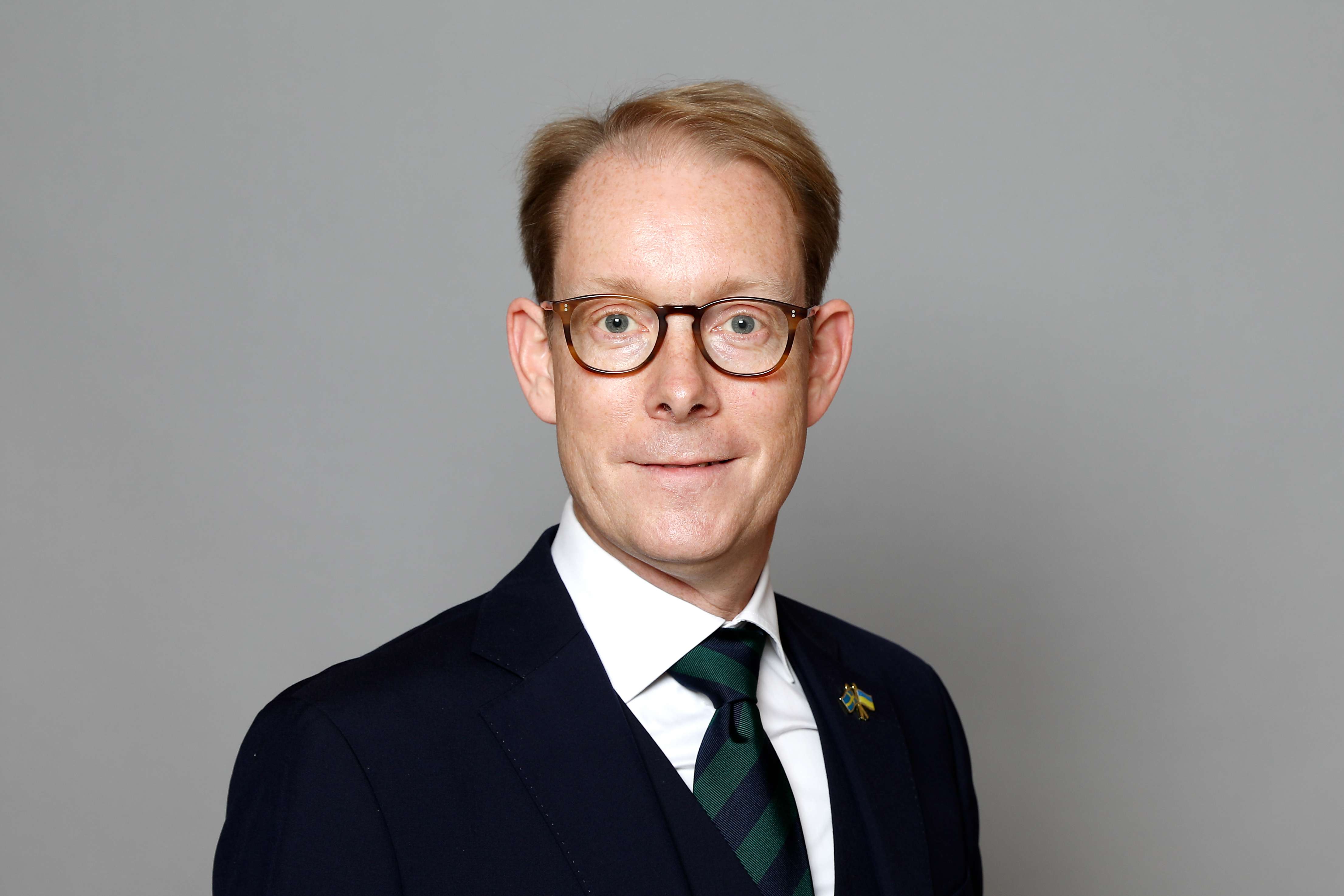 "Currently, there is no initiative to introduce a visa-free regime for Armenian citizens," Swedish Foreign Minister