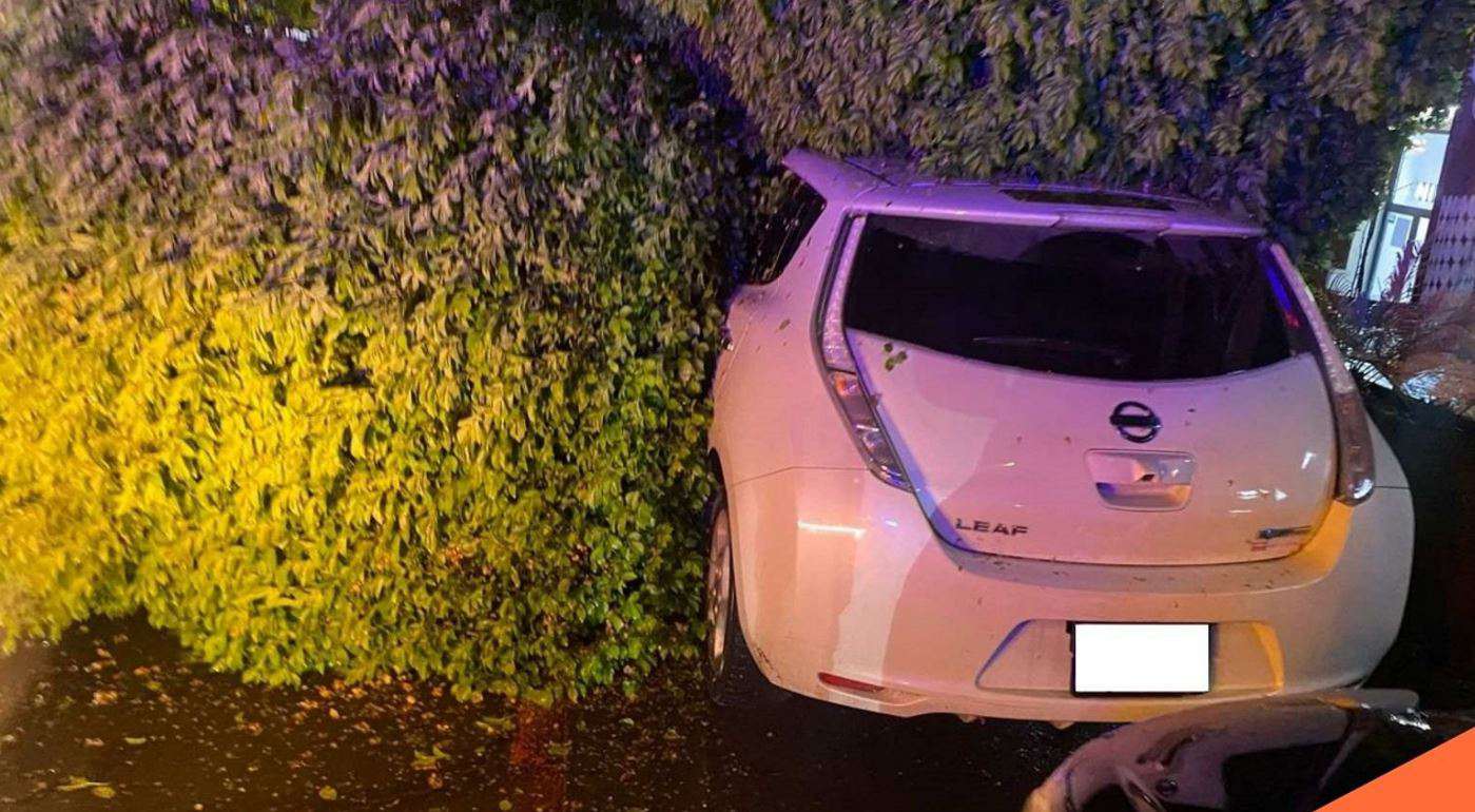 Ծառը կոտրվել և ընկել է կայանված ավտոմեքենայի վրա