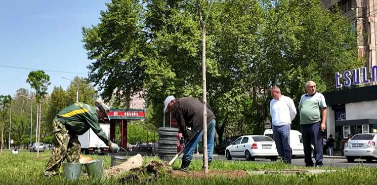 Մալաթիա-Սեբաստիայի՝ «Հյուսիս-հարավ» ճանապարհի հատվածում 100 ծառ կտնկվի