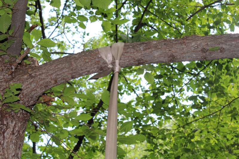 Հայտնաբերվել է դի՝ ծառից կախված վիճակում