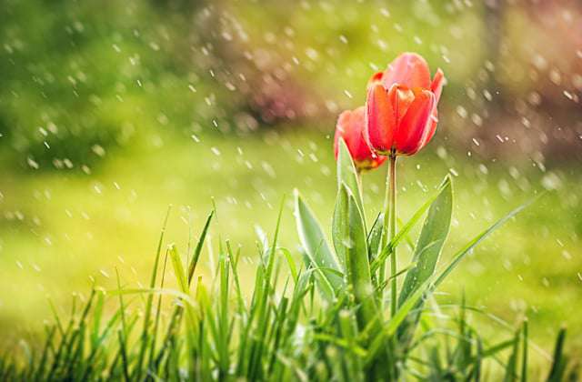 Precipitation will continue in the coming days