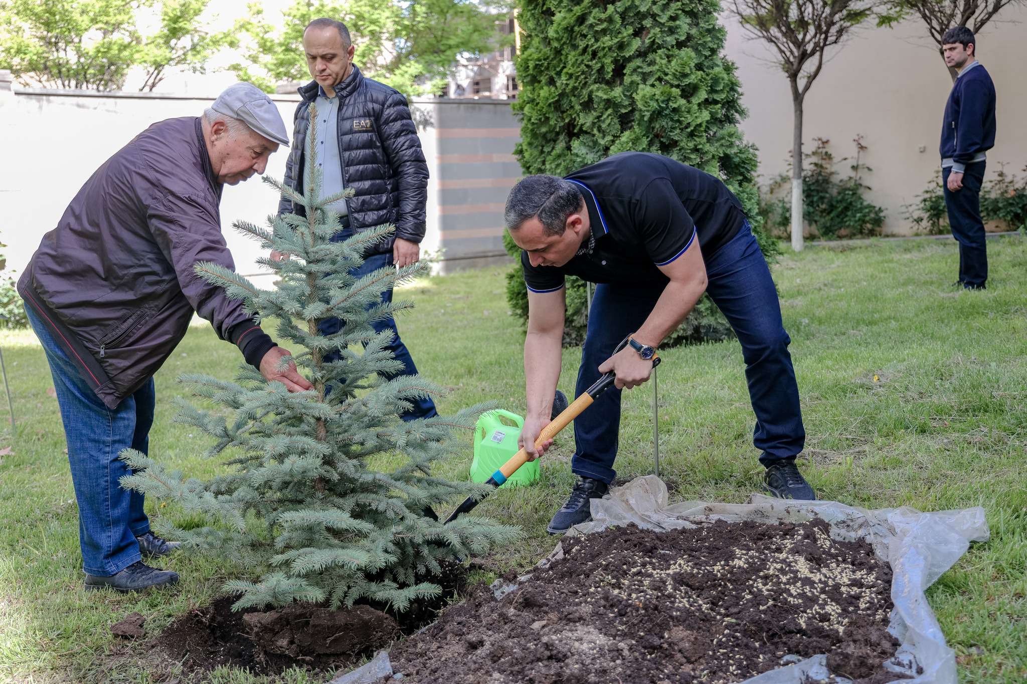 Քննչական կոմիտեի այգում տնկվել է խորհրդանշական եղևնի
