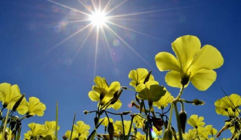 Weather without precipitation is expected