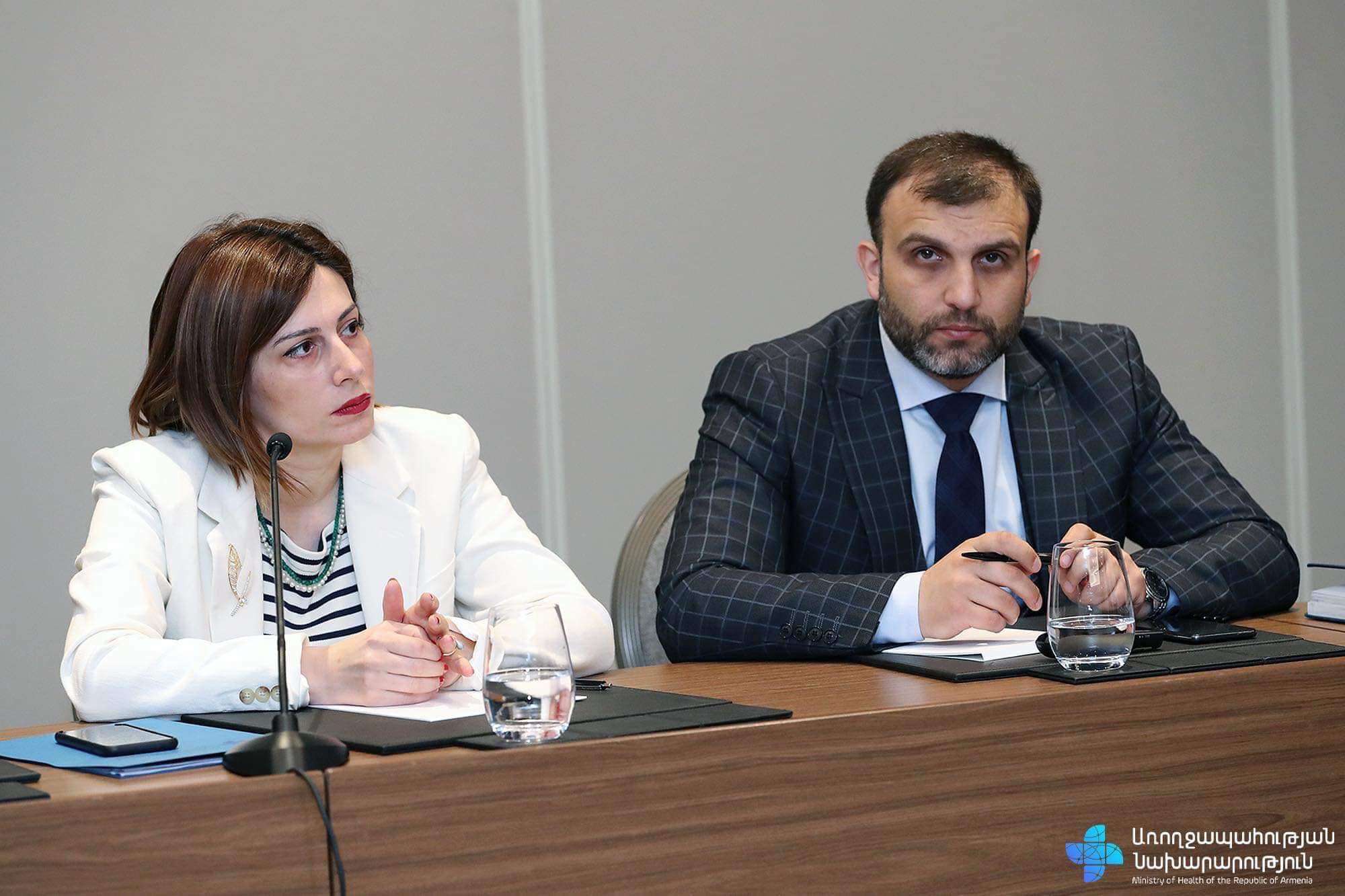 Անահիտ Ավանեսյանը հանդիպել է ապահովագրական ընկերությունների ներկայացուցիչների հետ