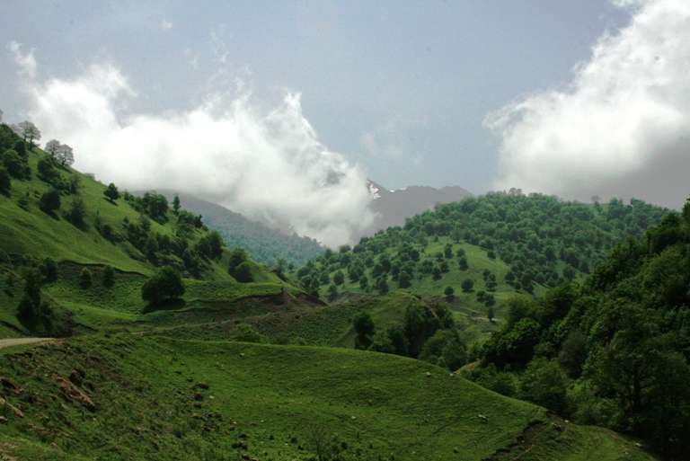 ՀԲ-ն Հայաստանում անտառների, լանդշաֆտների վերակագնման համար հաստատել է շուրջ 9 մլն դոլարի աջակցությունը