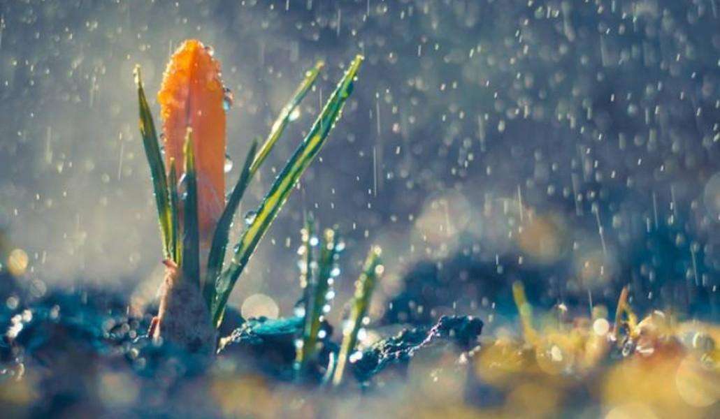 Rain and thunder are expected in some regions
