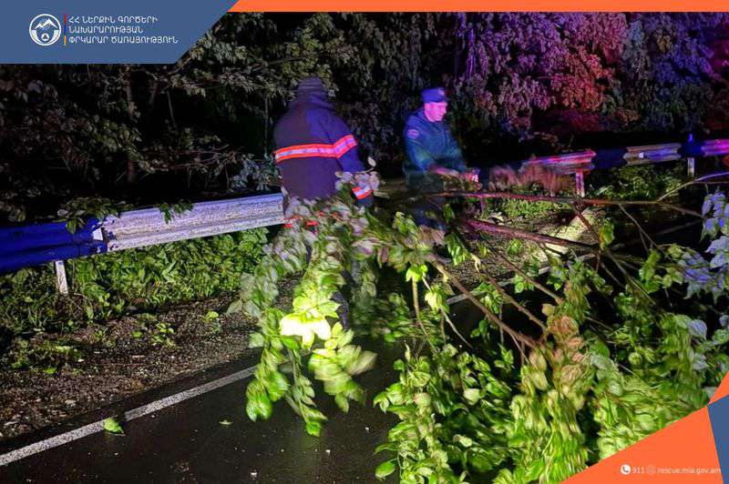 Ծառը հեռացրել են ճանապարհահատվածից․ երթևեկությունը վերականգնվել է
