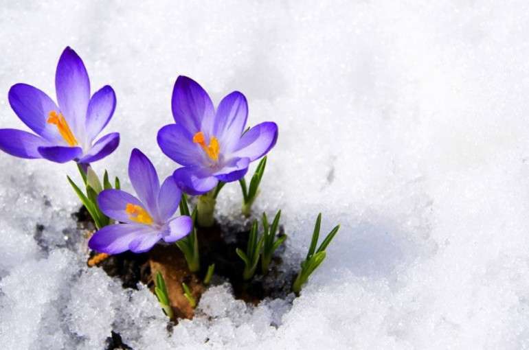 Precipitation is expected in some regions in the form of wet snow. air temperature will drop by 8-10 degrees