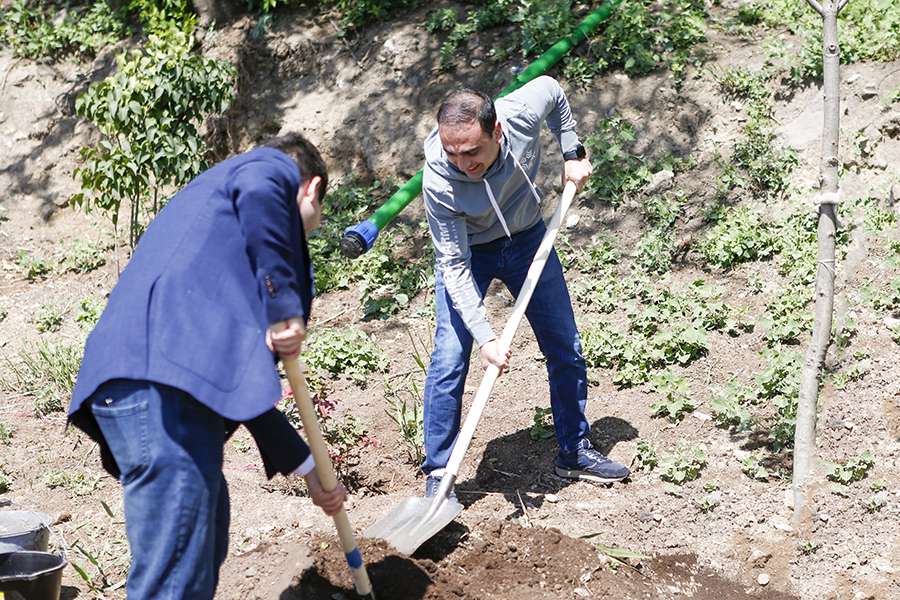 Շուրջ 130 հասուն ծառ և ավելի քան 2000 թուփ՝ Երևանյան լճի հարակից տարածքում (ՏԵՍԱՆՅՈՒԹ)
