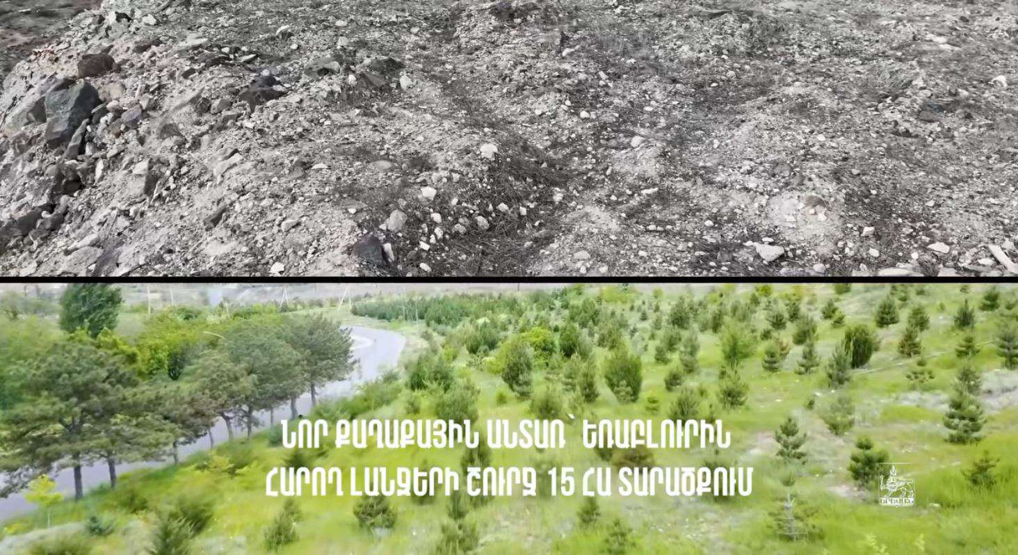 «Եռաբլուր»-ին հարող լանջերին նոր քաղաքային անտառ է հիմնվել