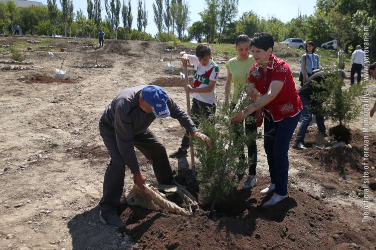 Ծիծեռնակաբերդի բարձունքի՝ համայնքին պատկանող տարածքում արդեն իսկ 420 ծառ և թուփ է տնկվել