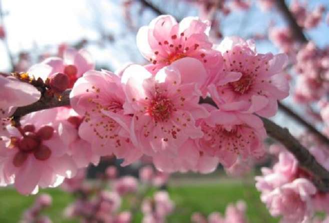 No precipitation is expected, the air temperature will rise by 6-8 degrees