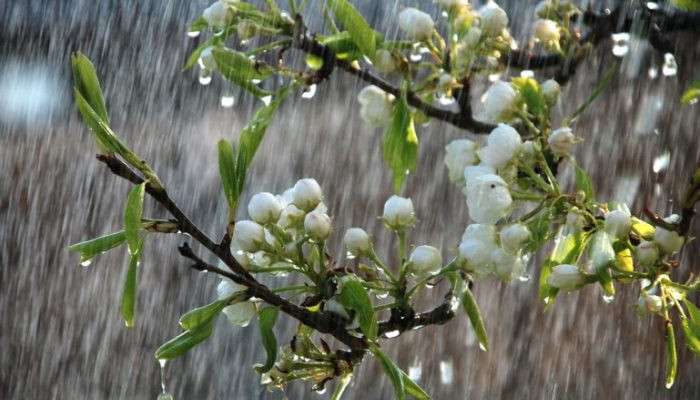 Precipitation, fog, hail are expected
