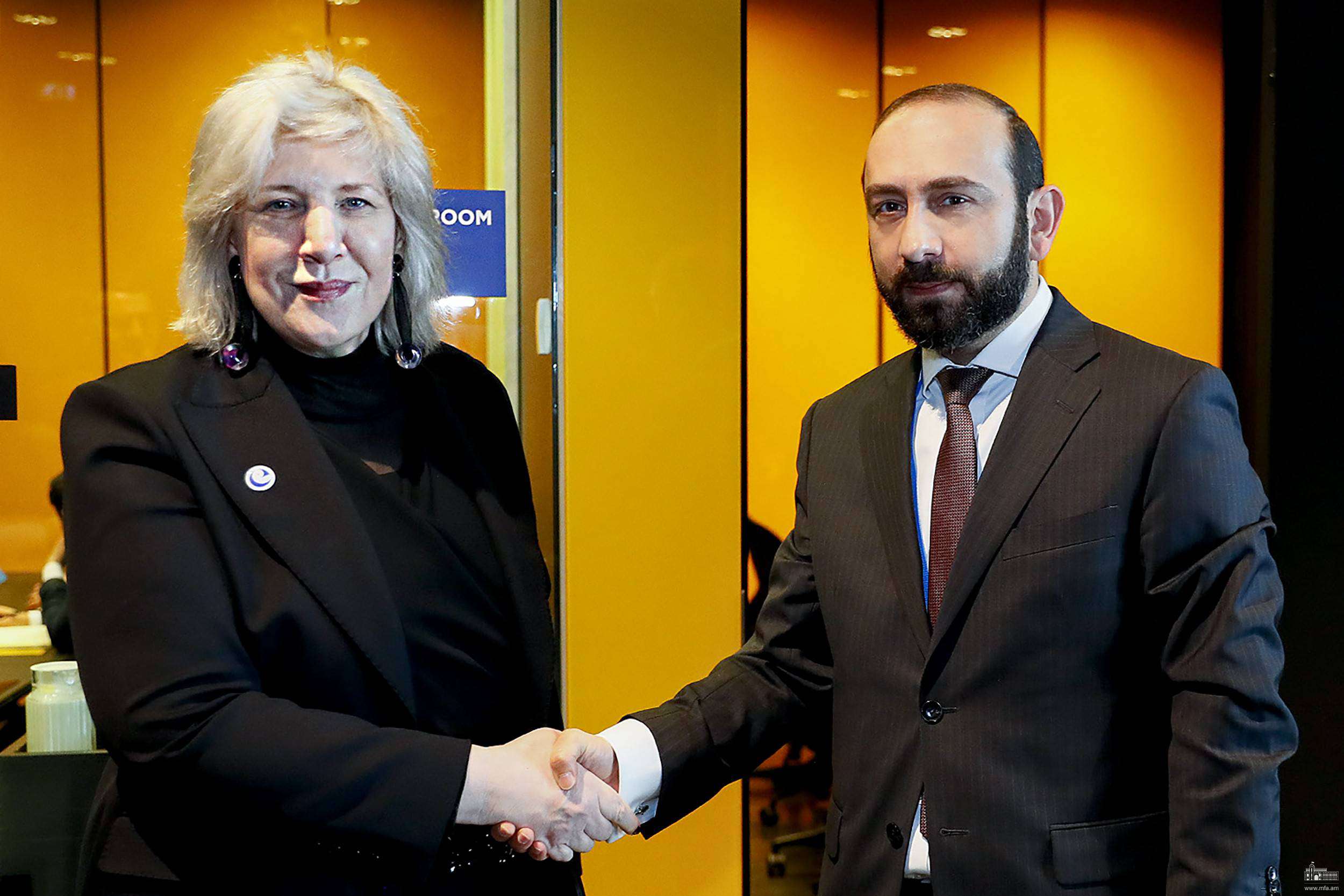 Արարատ Միրզոյանը ԵԽ մարդու իրավունքների հանձնակատարի հետ քննարկել է ԼՂ-ում ստեղծված իրավիճակը