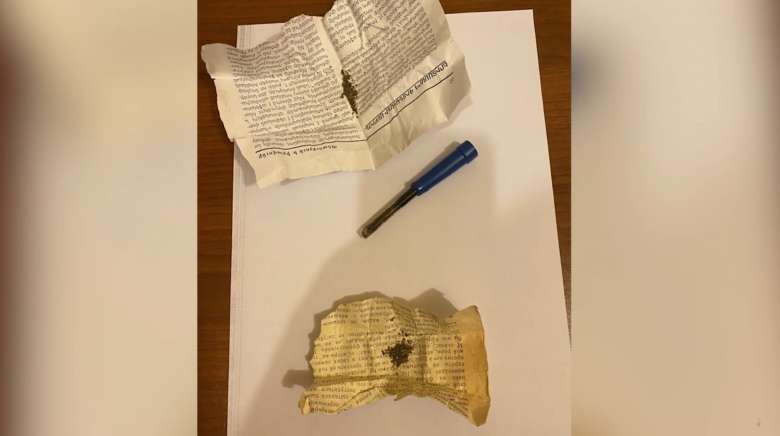 Հանրահավաքի մասնակցի մոտ թմրանյութ է հայտնաբերվել