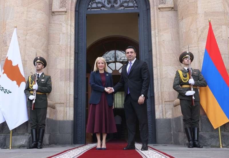 Սիմոնյանը ուշադրությունն է հրավիրել ապօրինի պահվող անձանց խնդրին