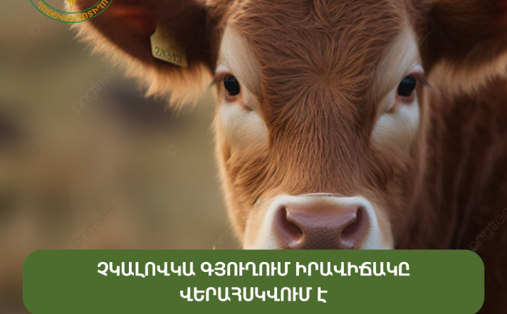 Չկալովկայում արձանագրվել են բրուցելոզ հիվանդության դեպքեր