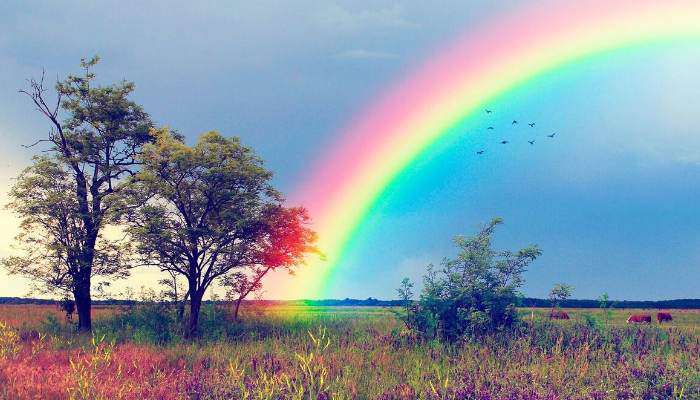 Short rain and thunder, hail in some places is expected
