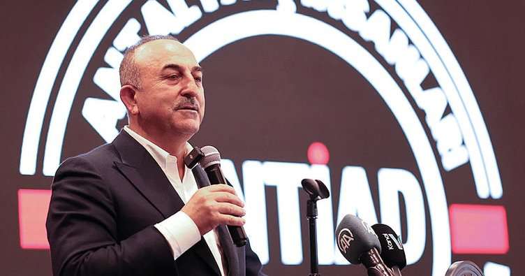 «Մենք ակնկալում ենք որ Հայաստանը կուղղի այդ սխալը». Չավուշօղլուն՝ Նեմեսիսի արձանի վերաբերյալ