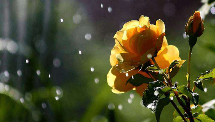 Ожидаются кратковременные дожди, температура воздуха повысится