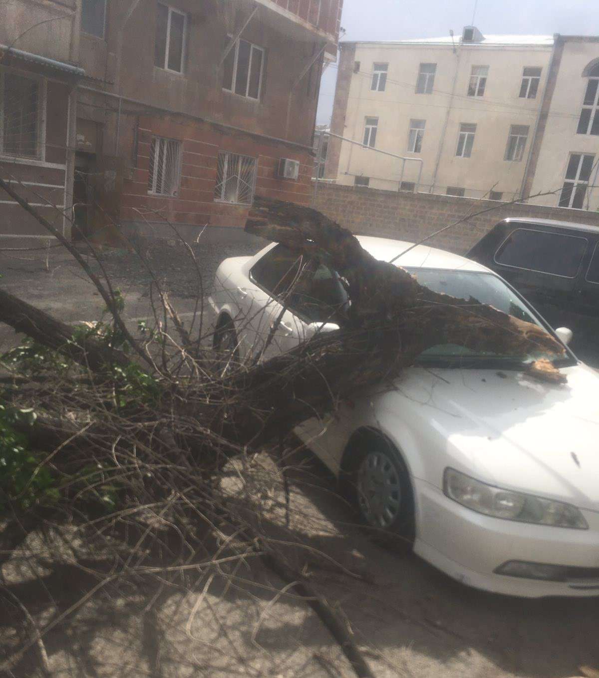 Ծառի ճյուղը պոկվել և ընկել է ավտոմեքենայի վրա