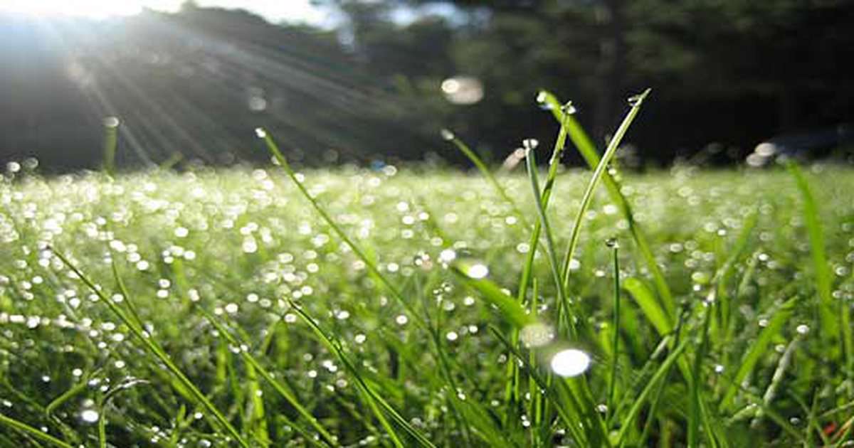Precipitation is expected in some places