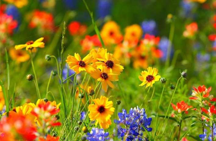 Սպասվում է բավական հաճելի հունիս. Սուրենյան