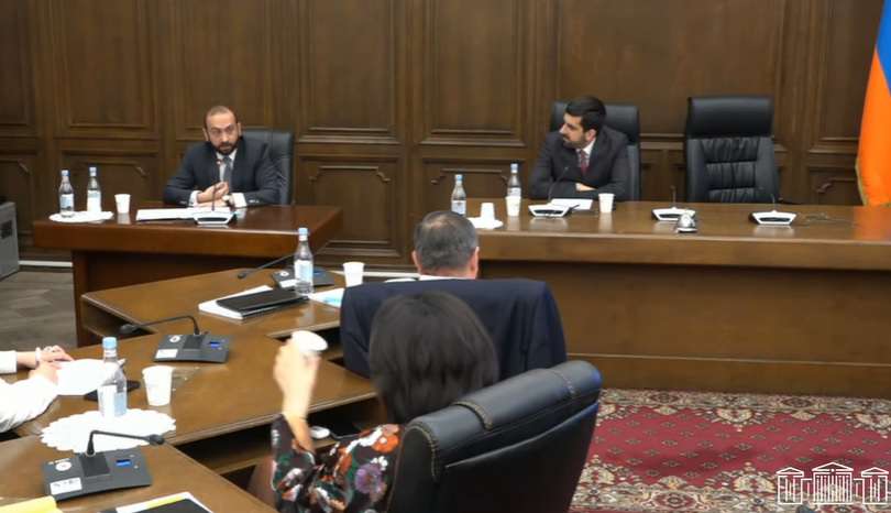 At the moment, there are no claims about enclaves in the draft peace treaty; minister