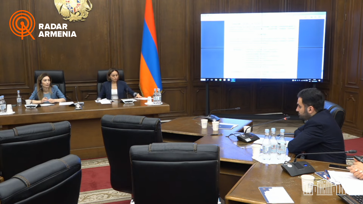 «Բոլորի մոտ տպավորություն է, թե Հանրայինում մեծ գումարներ են ստանում». Մովսիսյան (ՏԵՍԱՆՅՈՒԹ)