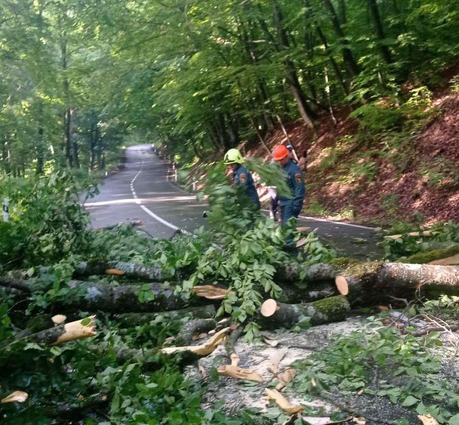 Պարզ լիճ տանող հատվածում ծառն ընկել և ամբողջությամբ փակել է ավտոճանապարհը