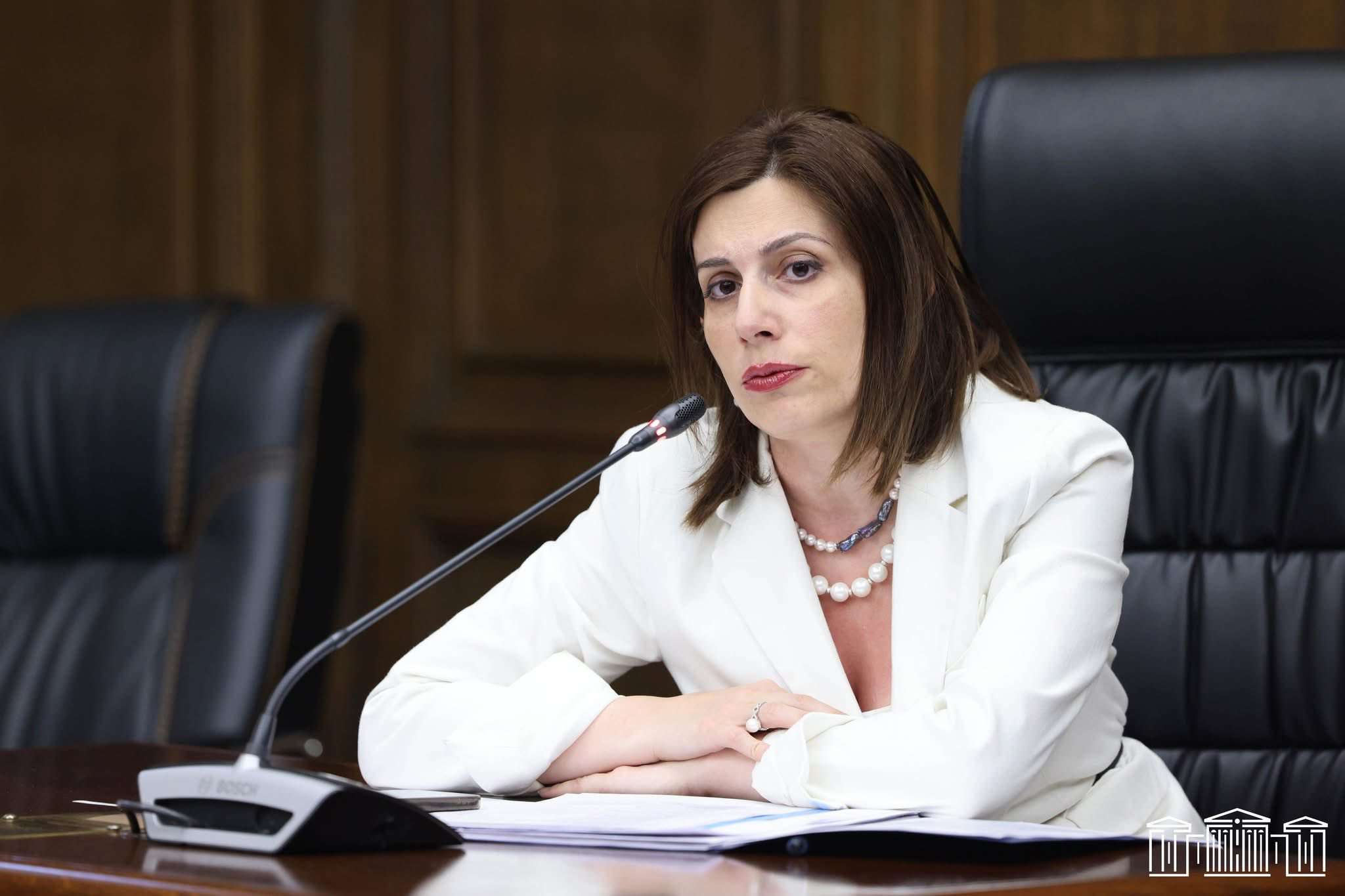 Ձեռք է բերվել 83 անվանում դեղ՝ 18 հիվանդության համար․ Ավանեսյան