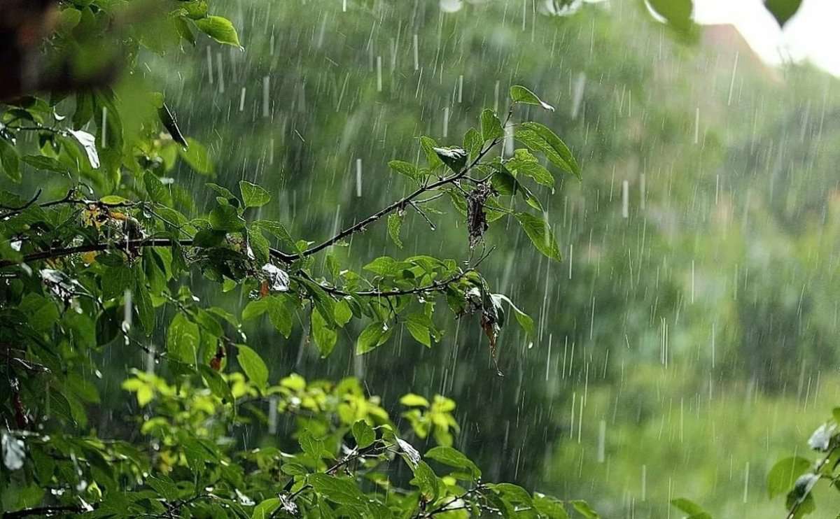 Precipitation is expected, the air temperature will not change significantly
