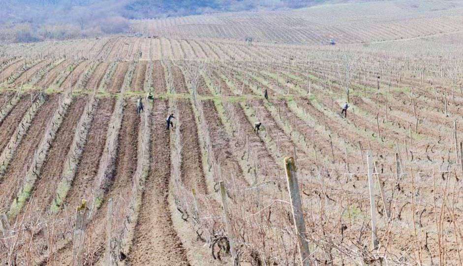 The Azerbaijani Armed Forces fired in the direction of agricultural workers in Artsakh