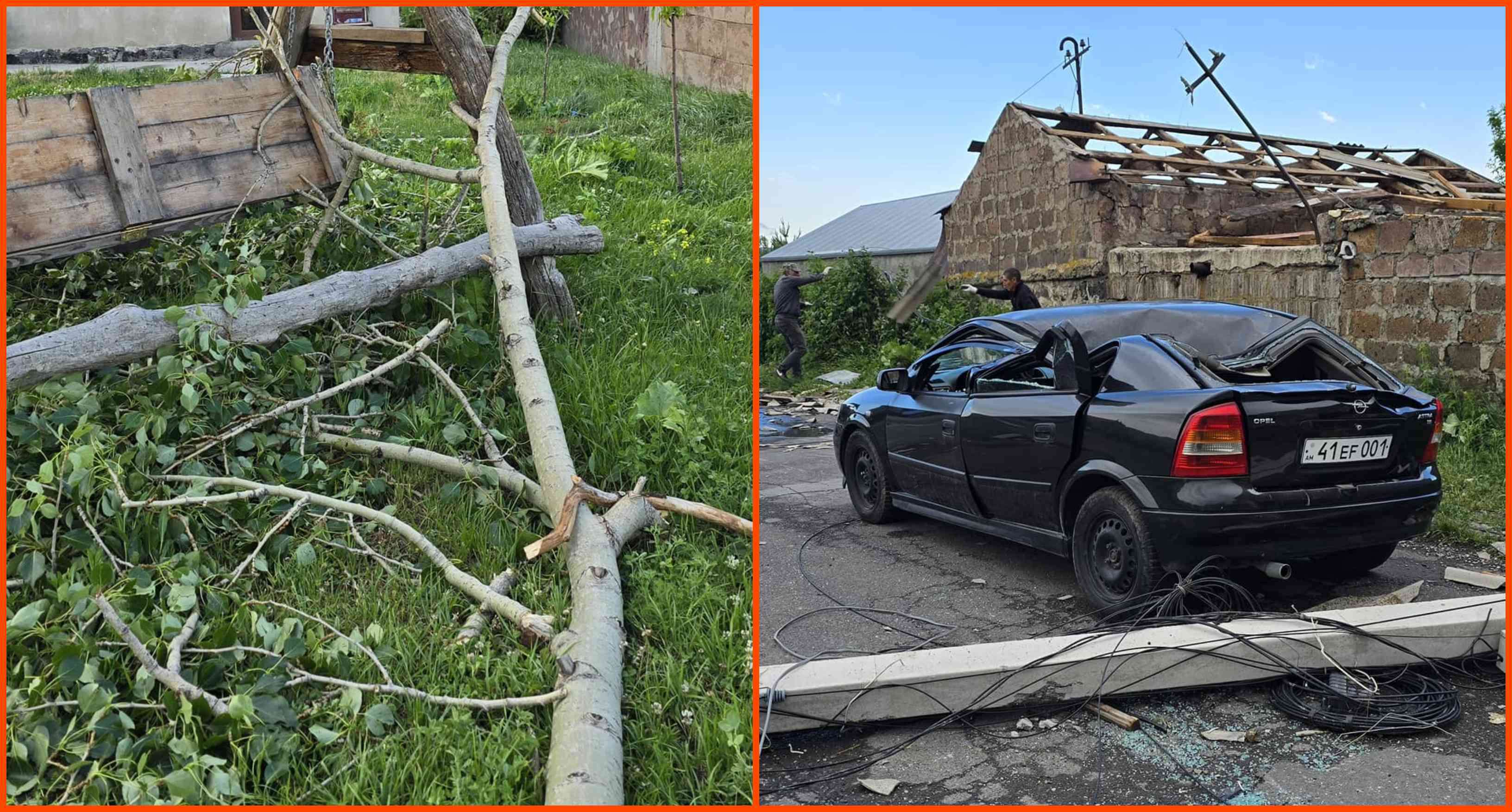 Ապարանում տապալվել է 100-ից ավել ծառ. տուժել է 5 անձ