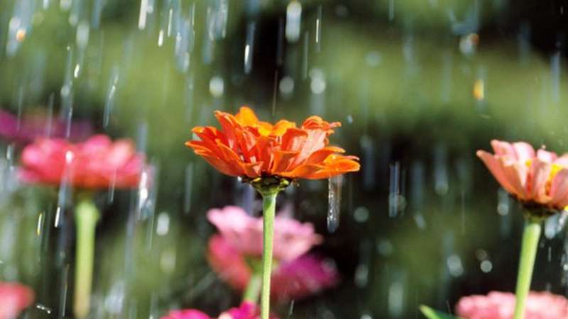 Вечером возможен кратковременный дождь, температура воздуха повысится