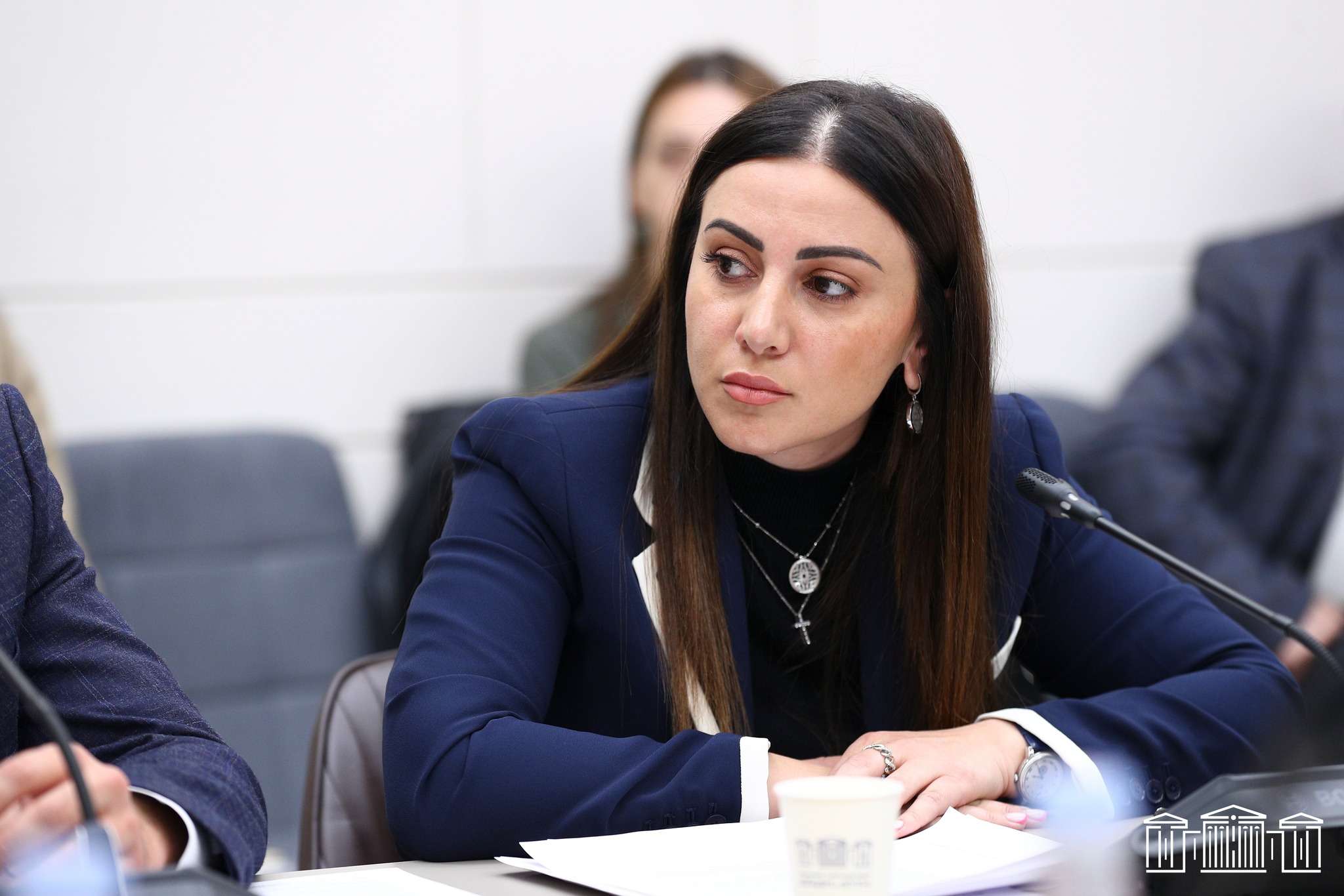 Առաջին դեպքը չէ, որ նման պլաններ են գծում. Արուսյակ Մանավազյան