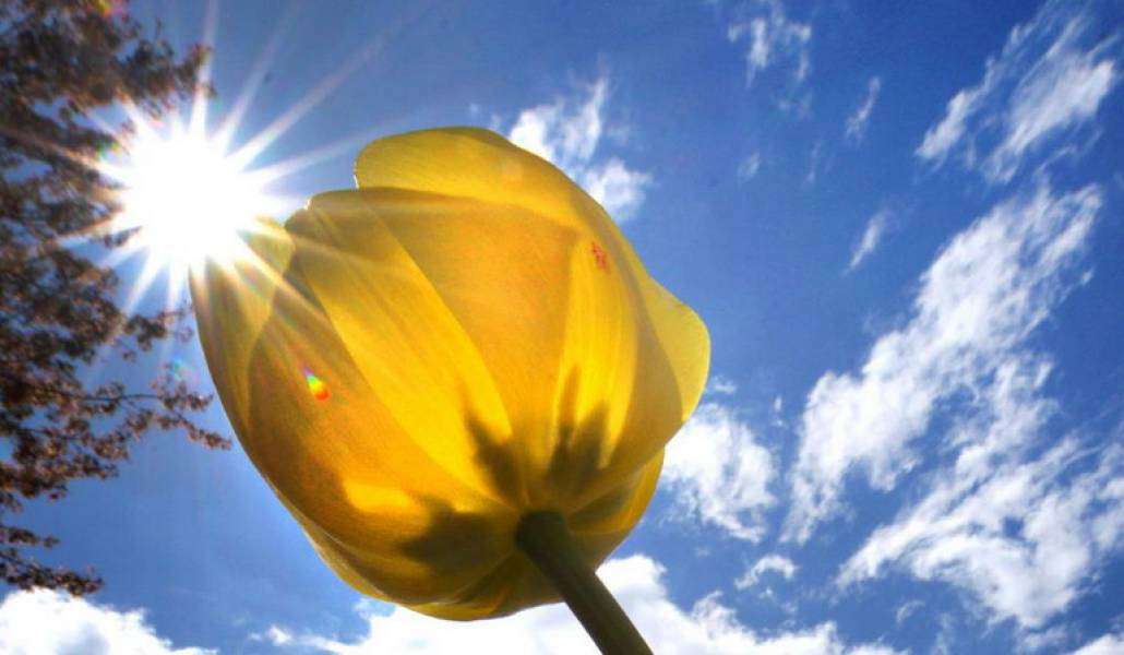 Ожидается кратковременный дождь с грозой