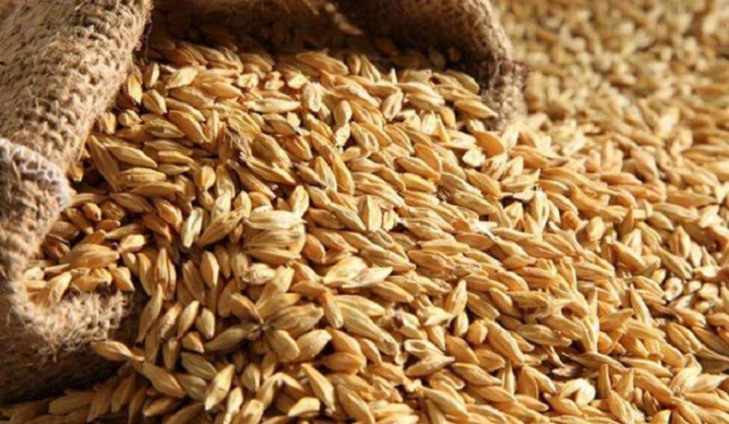 6 ամսով կարգելվի ՀՀ-ից ցորենի, արևածաղկի սերմի, ձեթի արտահանումը