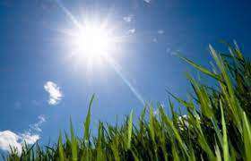 В Ереване осадков не ожидается