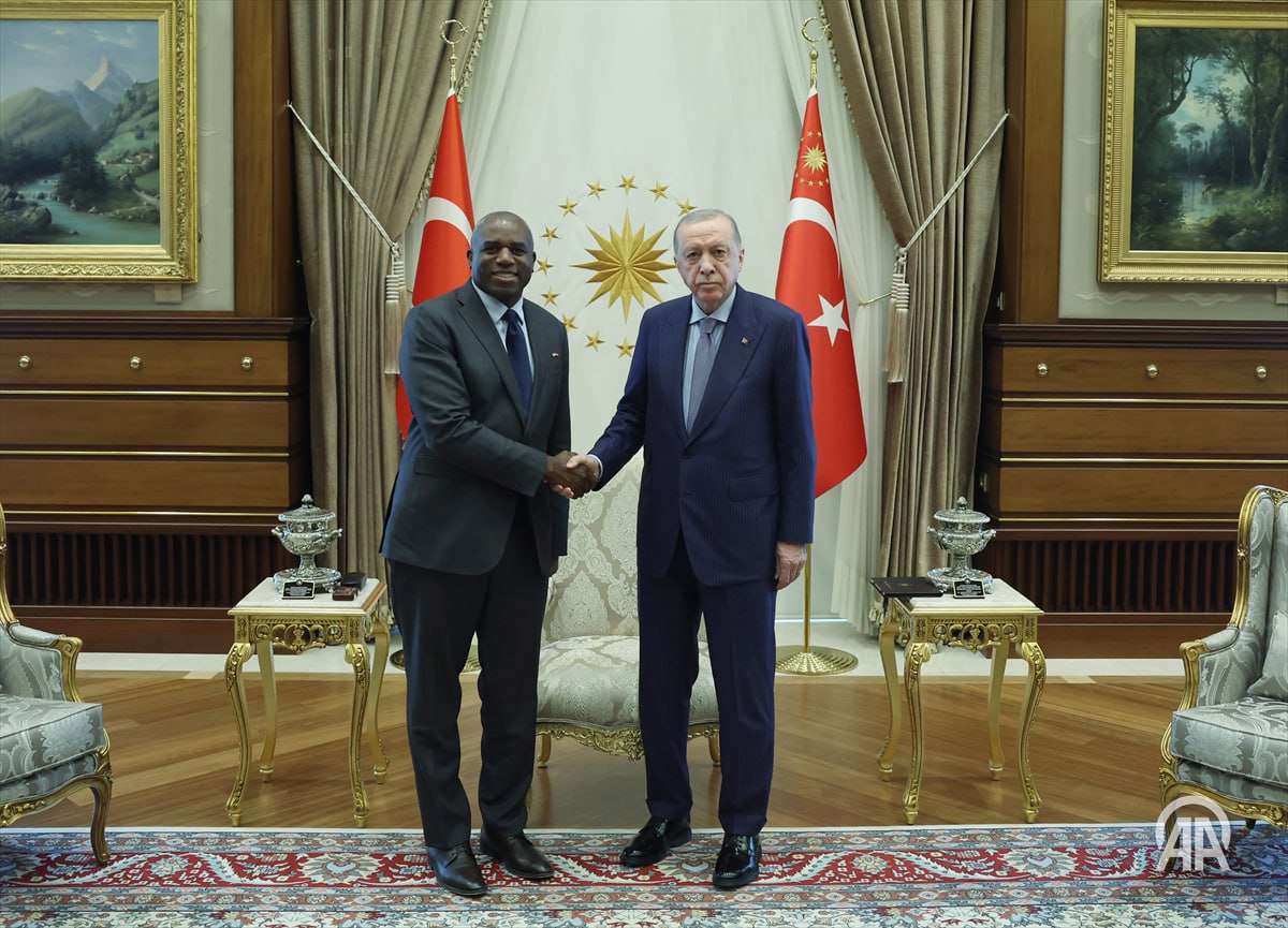 Էրդողանն ընդունել է ՄԹ ԱԳ նախարարին