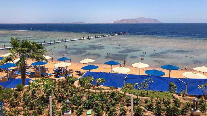 В Хургаде на туристку напала акула (видео)